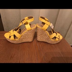 Yellow Spring Wedge